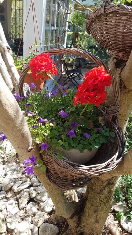 Holiday House Altea Banjole Zewnętrze zdjęcie