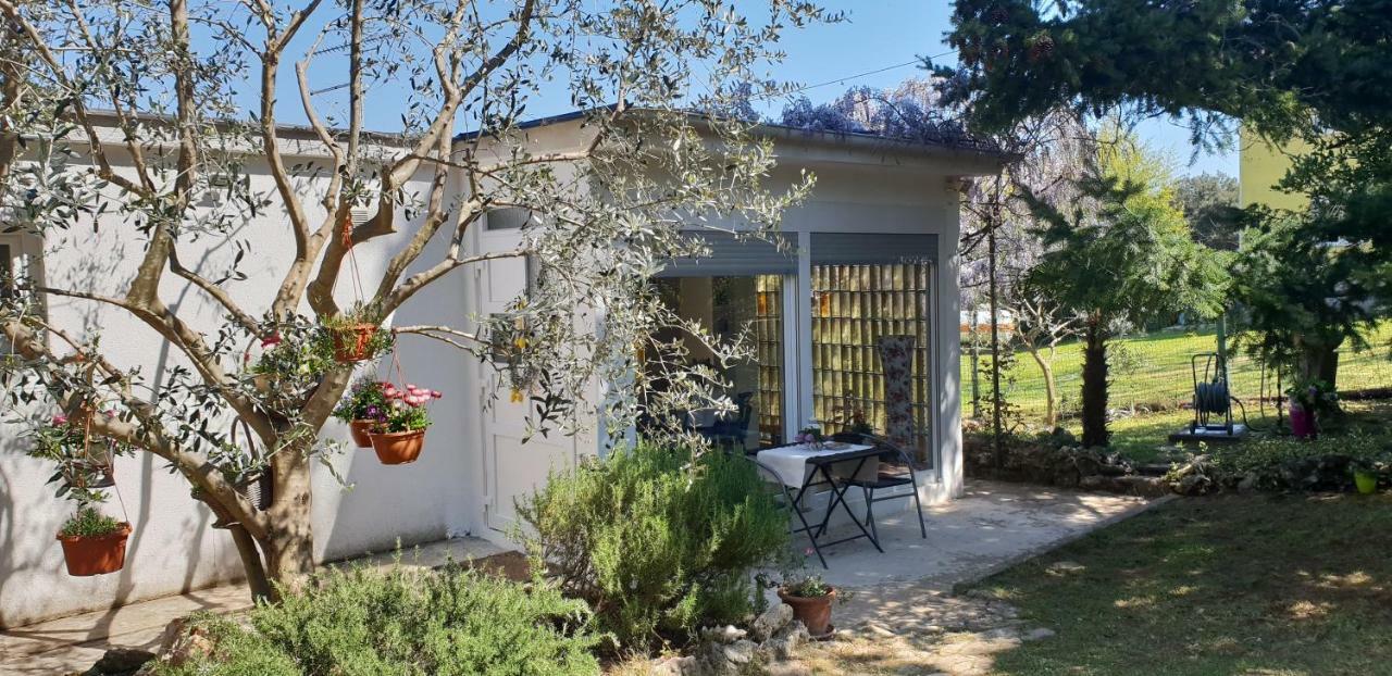 Holiday House Altea Banjole Zewnętrze zdjęcie